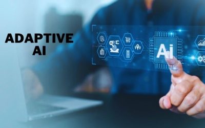 Learning and Adapting: Exploring Adaptive AI