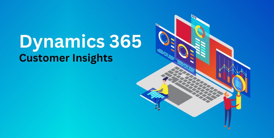 Dynamics 365 Customer Insights: Harnessing Customer Data for Business Growth